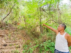 Begini Lokasi Mayat Pria Misterius Tergantung di Bukit Jering Wetan Godean