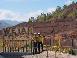 Grup Merdeka Tanam 5.500 Mangrove di Area Kerja Selama 2022-2024