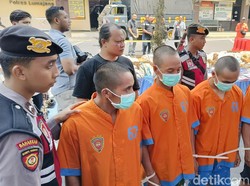 Video Wajah 4 Pelaku yang Tanam 41 Ribu Batang Ganja di Lereng Semeru