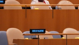 Daftar Negara Teken Deklarasi NY soal Palestina Merdeka, Ada Indonesia