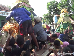 Warga Berebut Gunungan 1.000 Hasil Bumi-Tumpeng di Festival Ketan