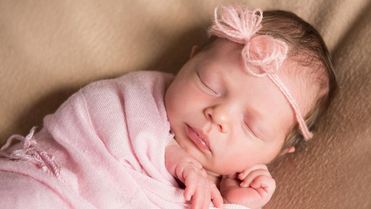 Arti Nama Bayi Rosa Arti Nama Bayi Rosa