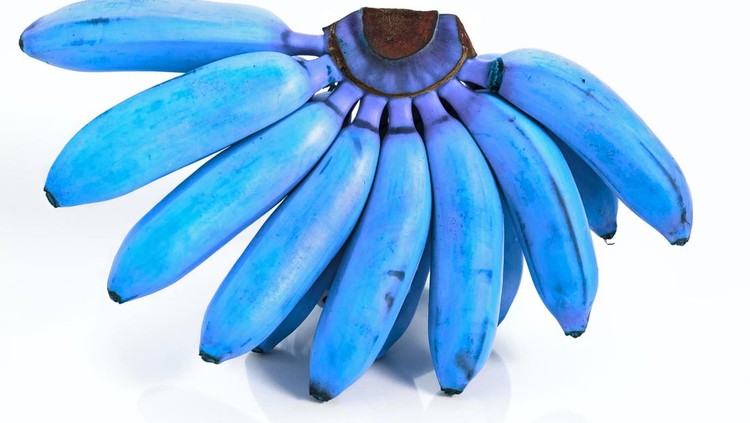 bananas with its inverted colors