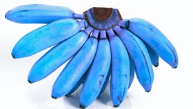 Pisang Berwarna Biru Jadi Obrolan di Dunia Maya, Memangnya Ada?