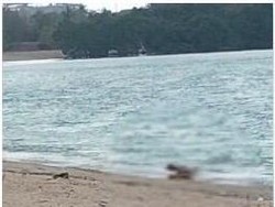 Heboh Bule Berhubungan Seks di Pantai Mandalika, Polisi Usut