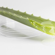 4 Manfaat Lidah Buaya: Rahasia Kulit Sehat dan Cerah