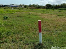 Melihat Sawah 1 Meter Kesenggol Tol Jogja-Solo-YIA di Sedayu Bantul