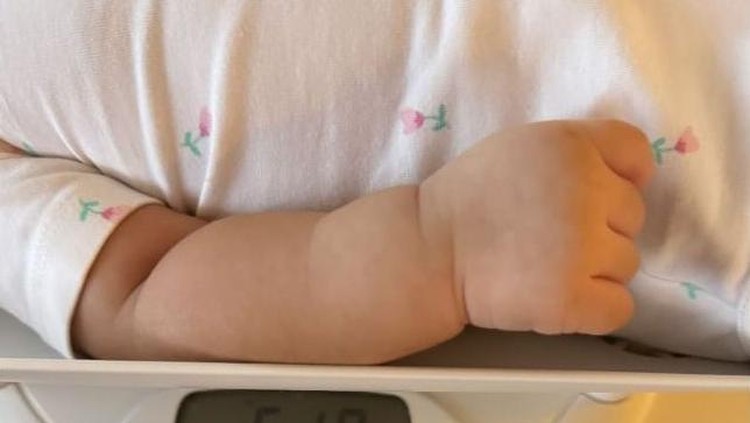 baby r, anak syahrini
