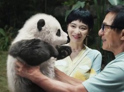 Sinopsis Film Panda Plan yang Dibintangi Jackie Chan dan 5 Fakta Menariknya
