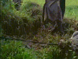 Gerak Cepat Mang Ipei Tangkap Buaya-buaya Kabur di Penangkaran Cianjur