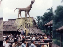 Peran Famato Harimao dalam Upacara Adat Nias