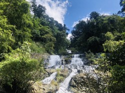 Taman Nasional Chu Mom Ray, Permata Baru dari Vietnam