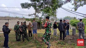 Buaya-buaya Lepas di Cianjur Dipindahkan ke Cikananga Sukabumi