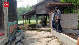 VIDEO: Penangkaran Buaya di Cianjur Jebol, Warga Diimbau Waspada