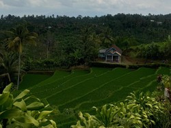 Jelajah Rempah, Ekoturisme Keren dari Desa Sumberurip di Blitar