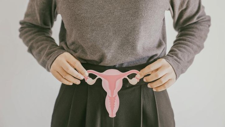 Hands holding uterus, female reproductive system , woman health, PCOS, gynecologic and cervix cancer concept