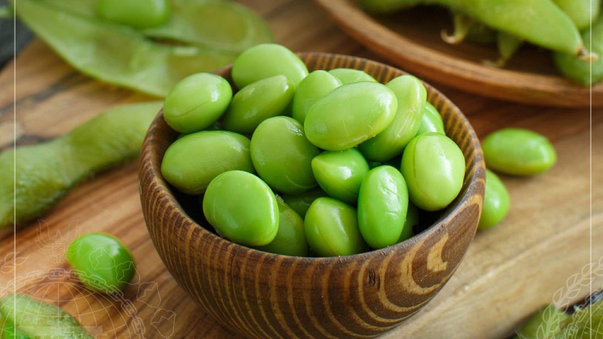 Bosan Telur? Ini 5 Makanan Tinggi Protein Ampuh Lawan Peradangan