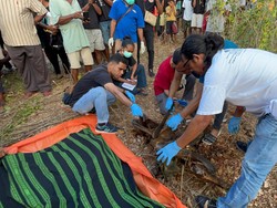 Hilang 3 Bulan, Perempuan Alor Ditemukan Tinggal Tulang Belulang di Hutan