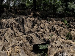 5 Destinasi Wisata Alam yang Lebih Sepi dan Murah Dibandingkan Puncak