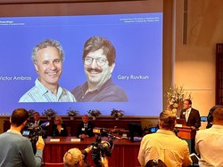 Hadiah Nobel Kedokteran Dianugerahkan pada 2 Pakar Genetika AS