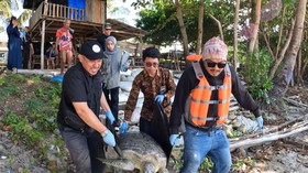 CNN INDONESIA HEROES Eps Menyelamatkan Satwa dari Kepungan Tambang