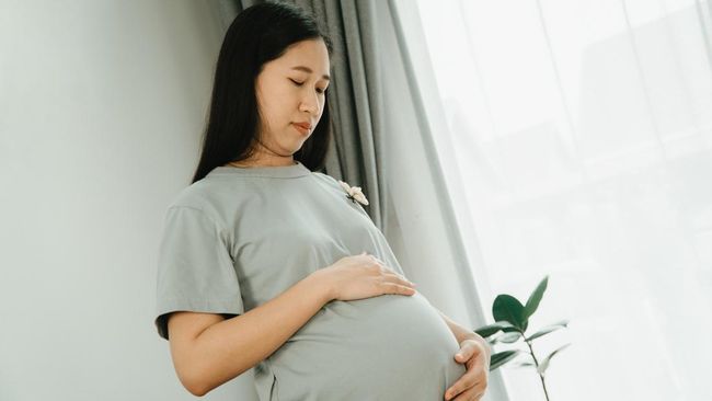 Mengenal Komplikasi Oropouche, Gigitan Nyamuk yang Sebabkan Janin Terlahir Cacat