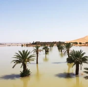 Ini Potret Gurun Sahara di Maroko yang Dilanda Banjir, Pertama Kalinya dalam 50 Tahun!