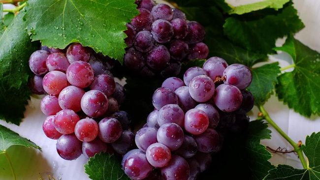 Beberapa jenis buah dapat meredakan sembelit secara alami sehingga Anda tak perlu buru-buru minum obat pencahar.