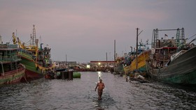 FOTO: Ramai Kapal Ikan Bersandar di Pelabuhan RI