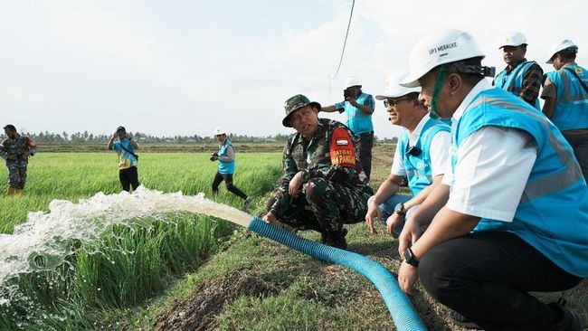 PLN Listriki Area Sawah Garapan Kementan-TNI di Merauke