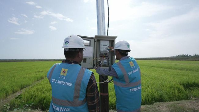 Rekrutmen Nasional PLN Group 2025 terbuka termasuk untuk lulusan D3. Berikut daftar formasi yang dibuka untuk lulusan D3 pada rekrutmen PLN 2025.