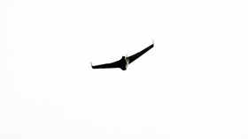 Kenapa Iron Dome Israel Kebobolan Drone Hizbullah Lebanon Mirsad-1?