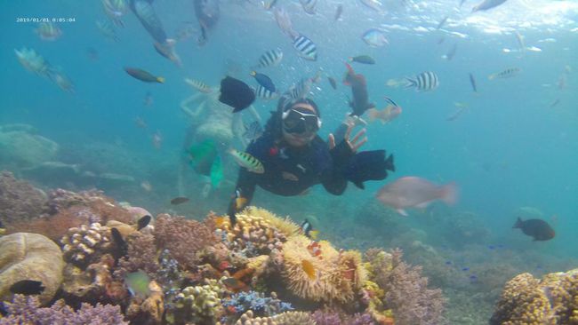 Air di tepian Pantai Brangsing, Banyuwangi tenang dan jernih. Seperti kaca bening, terllihat jelas gerombolan ikan warna warni berlarian.
