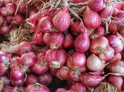 Harga Sembako Jogja Hari Ini 27 November 2024: Bawang Merah Turun Tipis