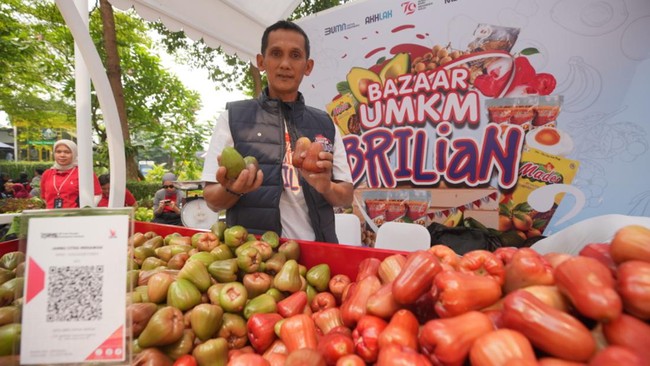Hingga akhir Agustus 2024 BRI telah berhasil menyalurkan KUR kepada 2,6 juta debitur UMKM dengan total nilai mencapai Rp126,12 triliun.