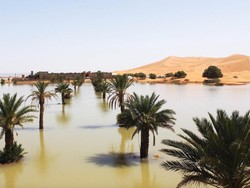 Banjir Langka di Gurun Sahara
