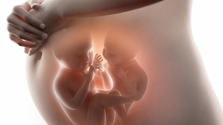 Mpok Alpa menceritakan bayi kembarnya memiliki satu plasenta di dalam kandungan, kok bisa? Simak yuk penjelasan tentang bayi kembar Mpok Alpa berikut ya Bunda.
