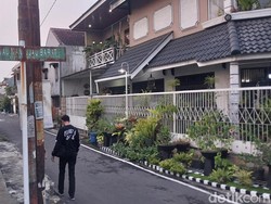 Dispangtan Sebut Kucing Mati Massal di Kota Malang Terindikasi Keracunan