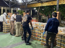 Penyelundupan 6.514 Burung Dilindungi dan Liar Asal Sumsel Digagalkan