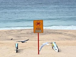Ratusan Bola Hitam Misterius Muncul di Pantai-pantai Sydney