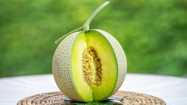 Melon boleh jadi dianggap sebagai buah umum yang murah dan mudah didapat. Tapi di Jepang, ada melon yang dihargai jutaan rupiah per buahnya.