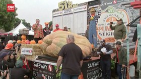 VIDEO: Kontes Labu Raksasa di AS Dimenangi Labu Seberat 1.120 Kg