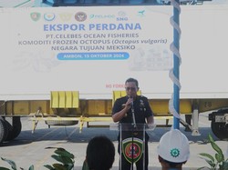 Ekspor Perdana 15,83 Ton Gurita Beku Jadi Harapan Baru Perekonomian Maluku