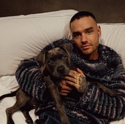 Perjalanan Karier Liam Payne dari Member One Direction hingga Karier Solo