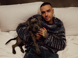 Kenangan dari Liam Payne Untuk One Direction