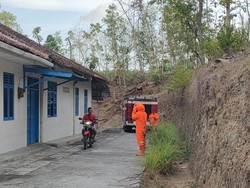 Kawanan Tawon Gung Ngamuk di Kokap Kulon Progo, 2 Warga Dilarikan ke RS