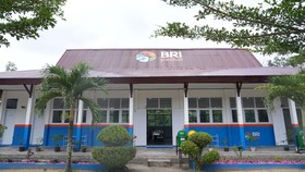 BRI Peduli 