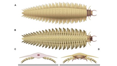 Ilustrasi Serangga Purba