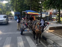 Naik Delman di Bandung Bayar Rp 600 Ribu, Wali Kota Farhan Buka Suara