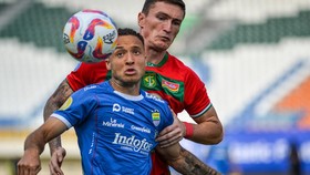 Link Live Streaming Persebaya vs Persib di Liga 1